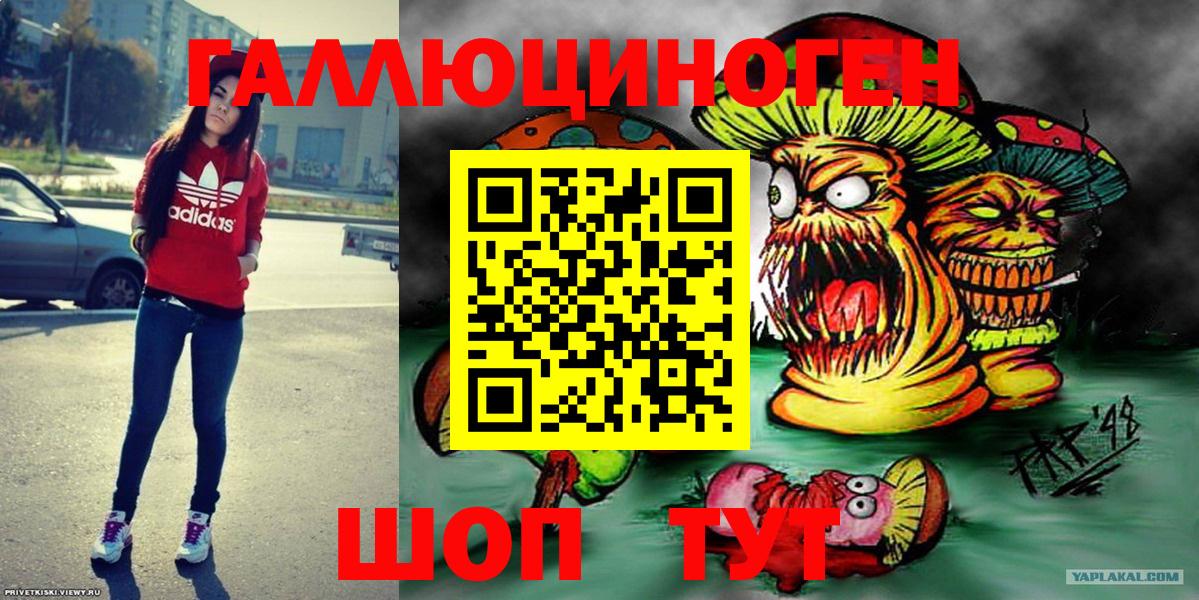 Псилоцибиновые грибы прущие грибы Кудрово