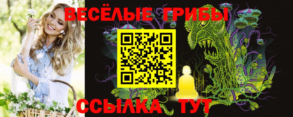 Псилоцибиновые грибы ЛСД  закладка  Псилоцибиновые грибы Psilocybe  Кудрово  Вход с VPN 